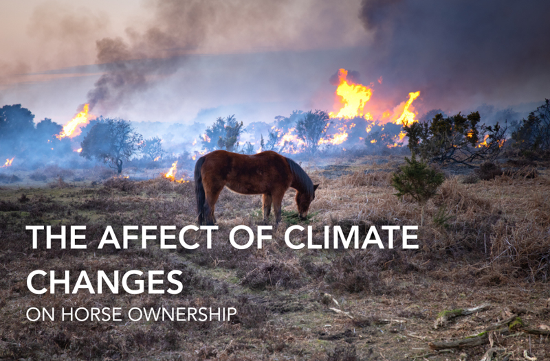 How Is Climate Change Affecting Horse Ownership? | Equine Science Matters™